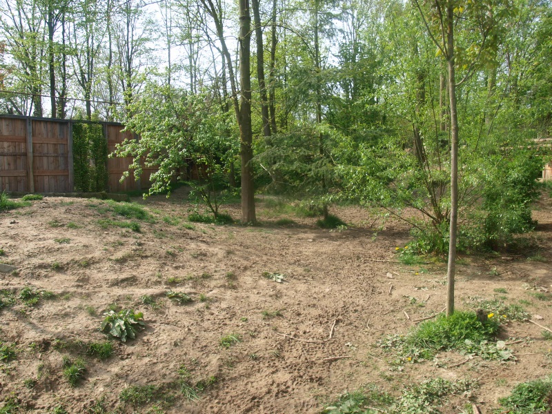 Wolf exhibit (May 2nd, 2015)