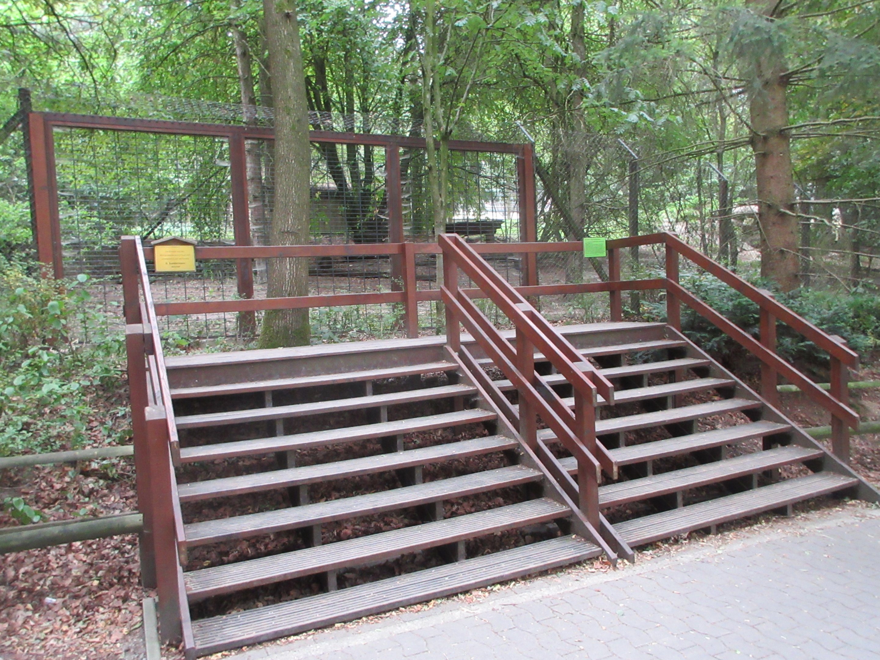 Wolf Exhibit - viewing platform