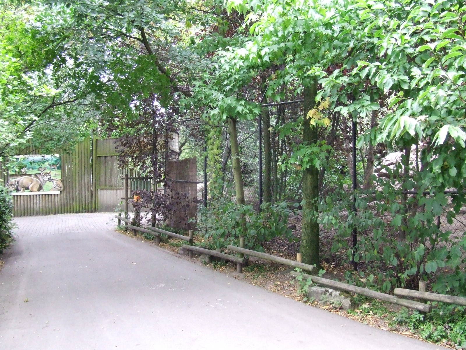 Wolf exhibit, Wolf Valley