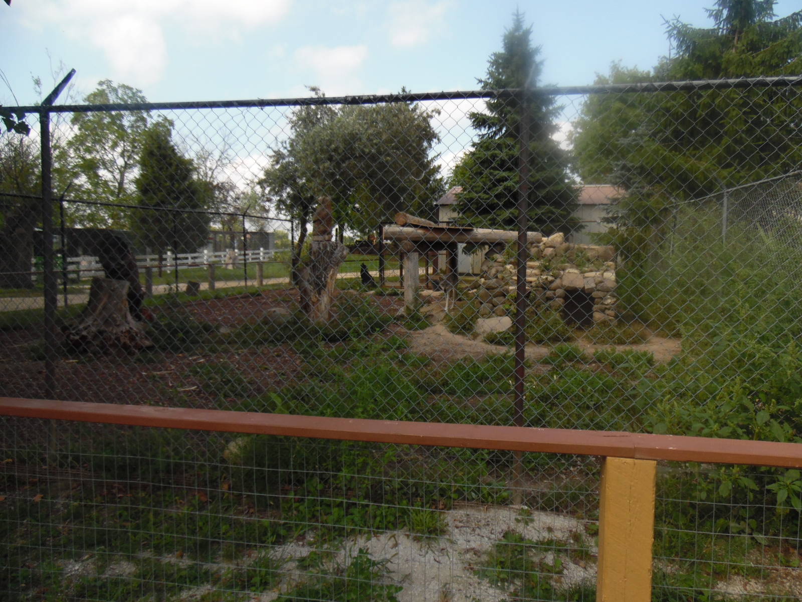Wolf Exhibit
