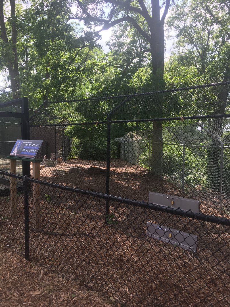 Wolf Exhibit