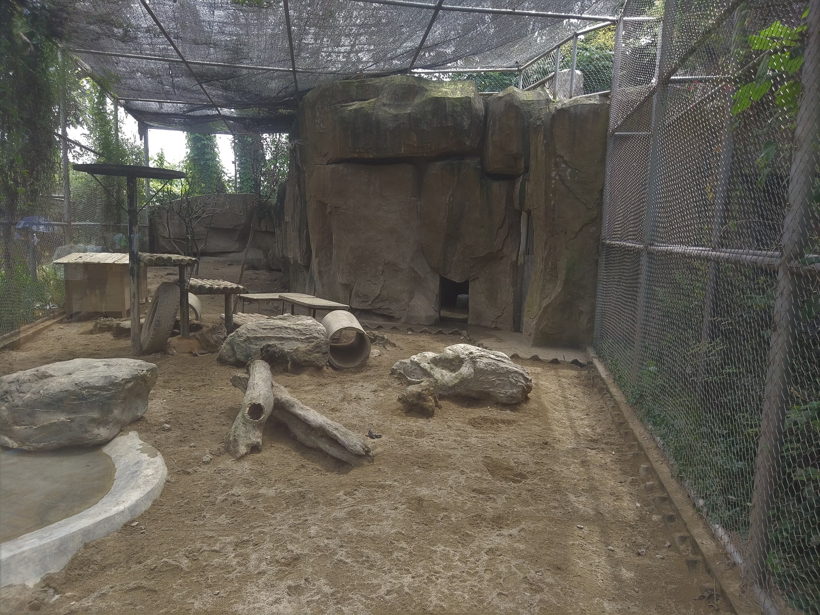 Wolf Exhibit