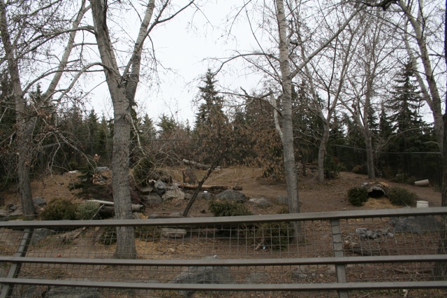 Wolf Exhibit