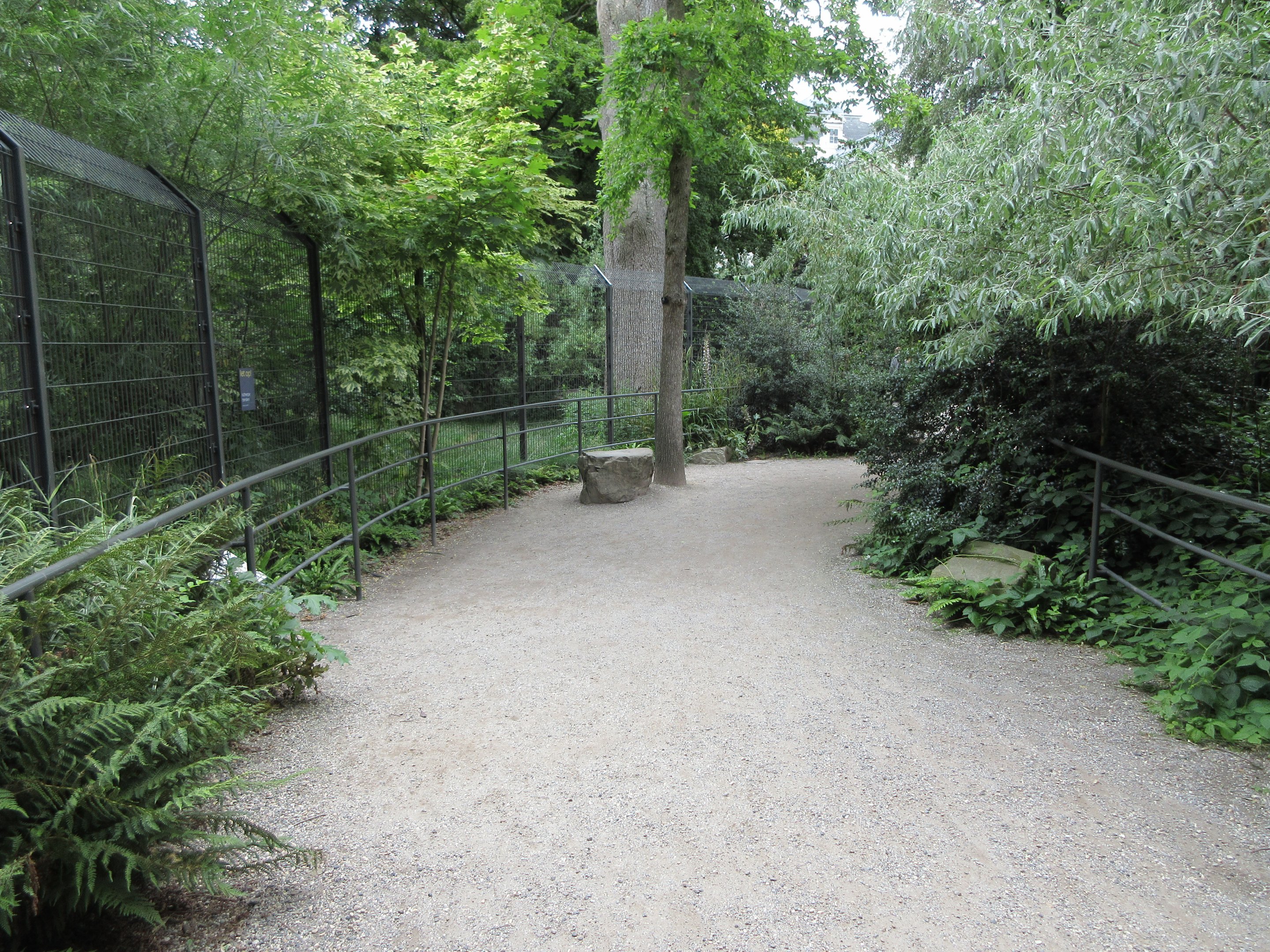 Wolf Forest (two separate exhibits)