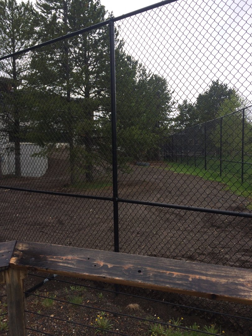 Wolf habitat expansion