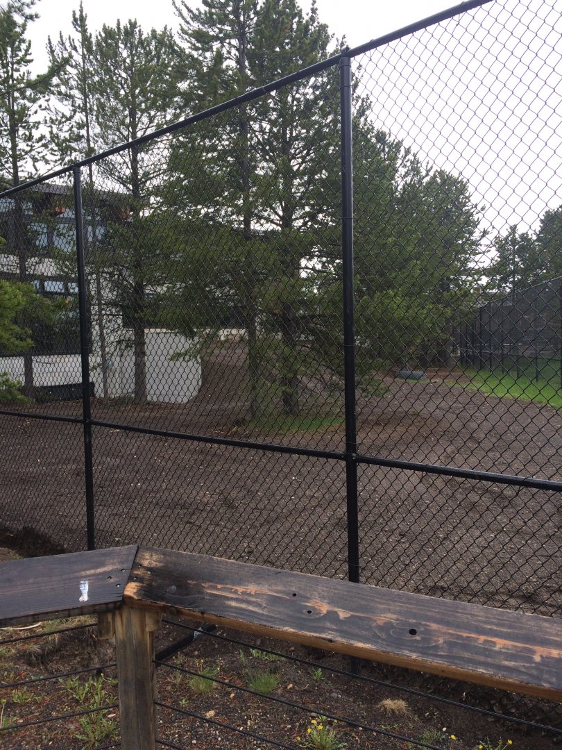 Wolf habitat expansion