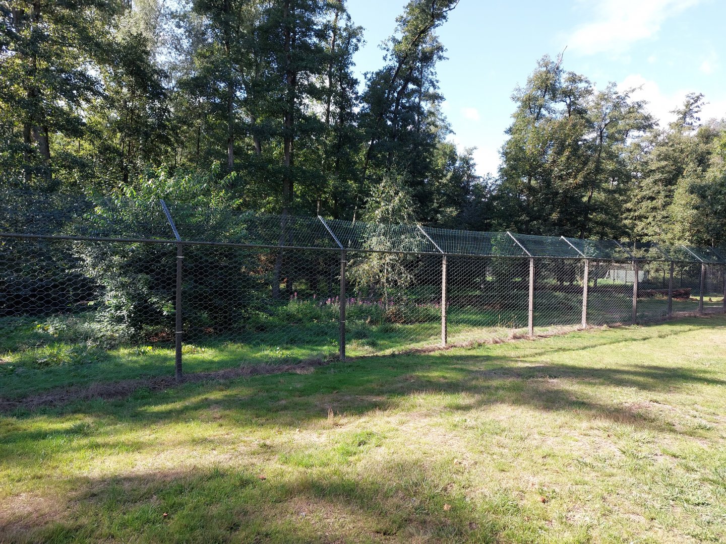 Wolf hand feeding area