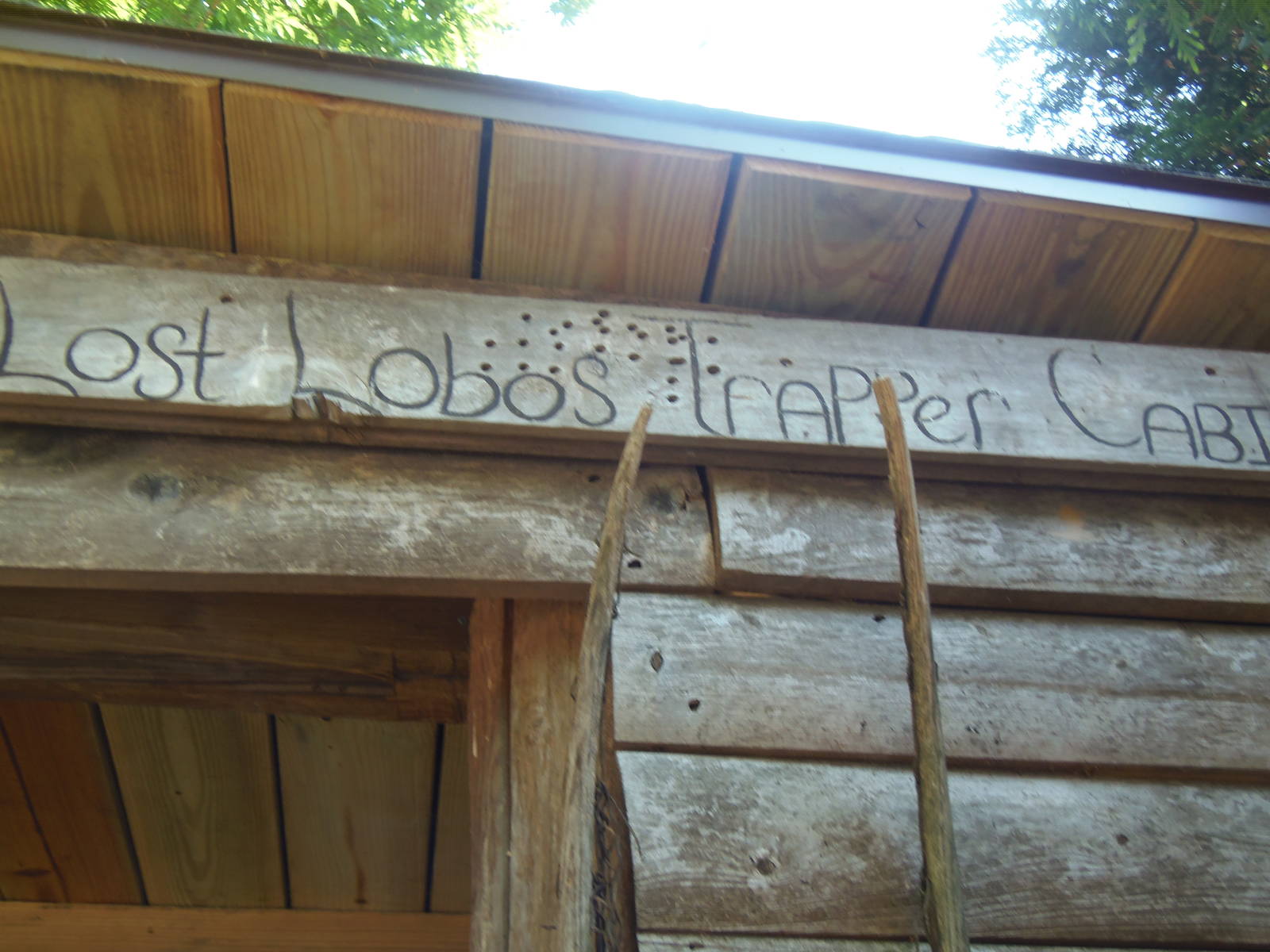WOLF- Lost Lobos Trapper Cabin