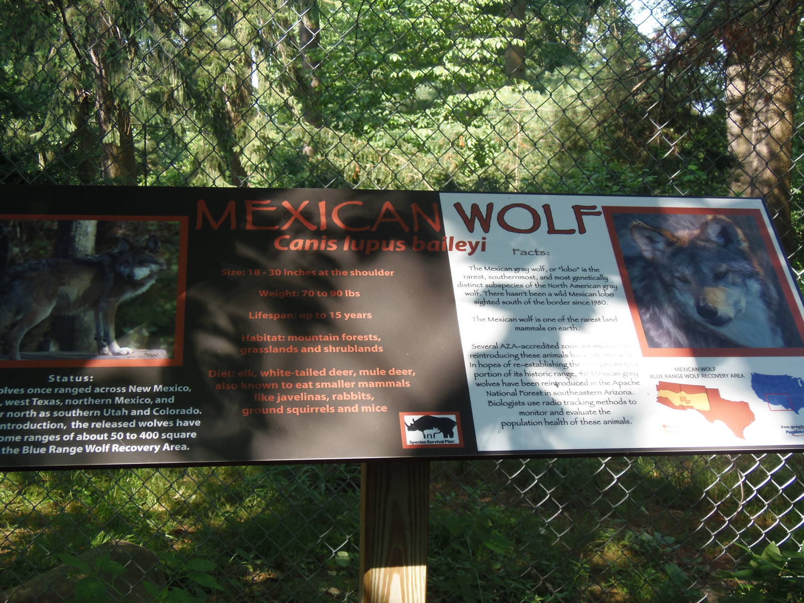 WOLF- New Mexican Wolf Signage