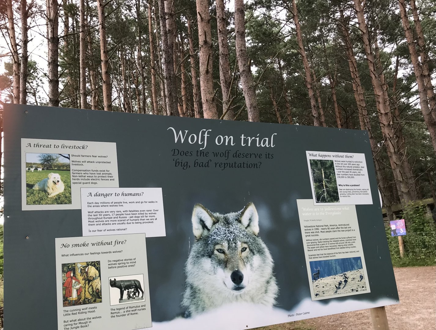 Wolf on trial sign