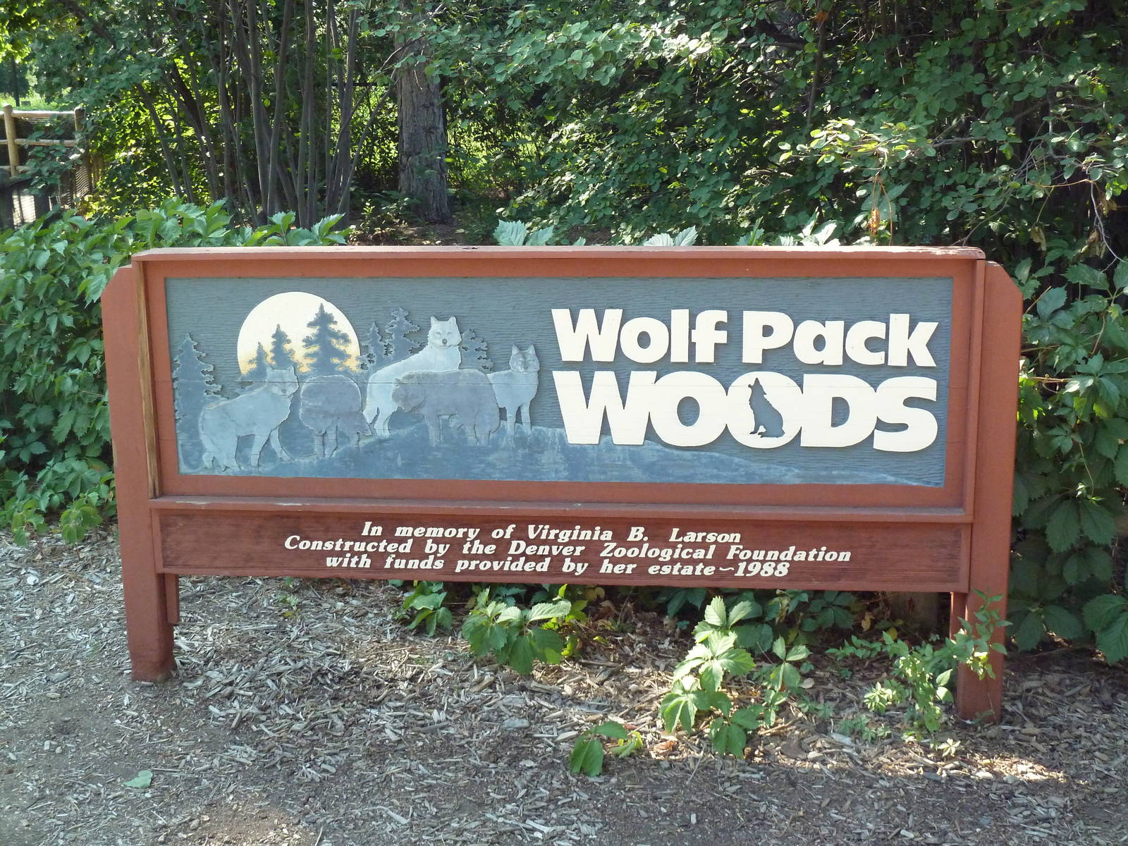 Wolf Pack Woods
