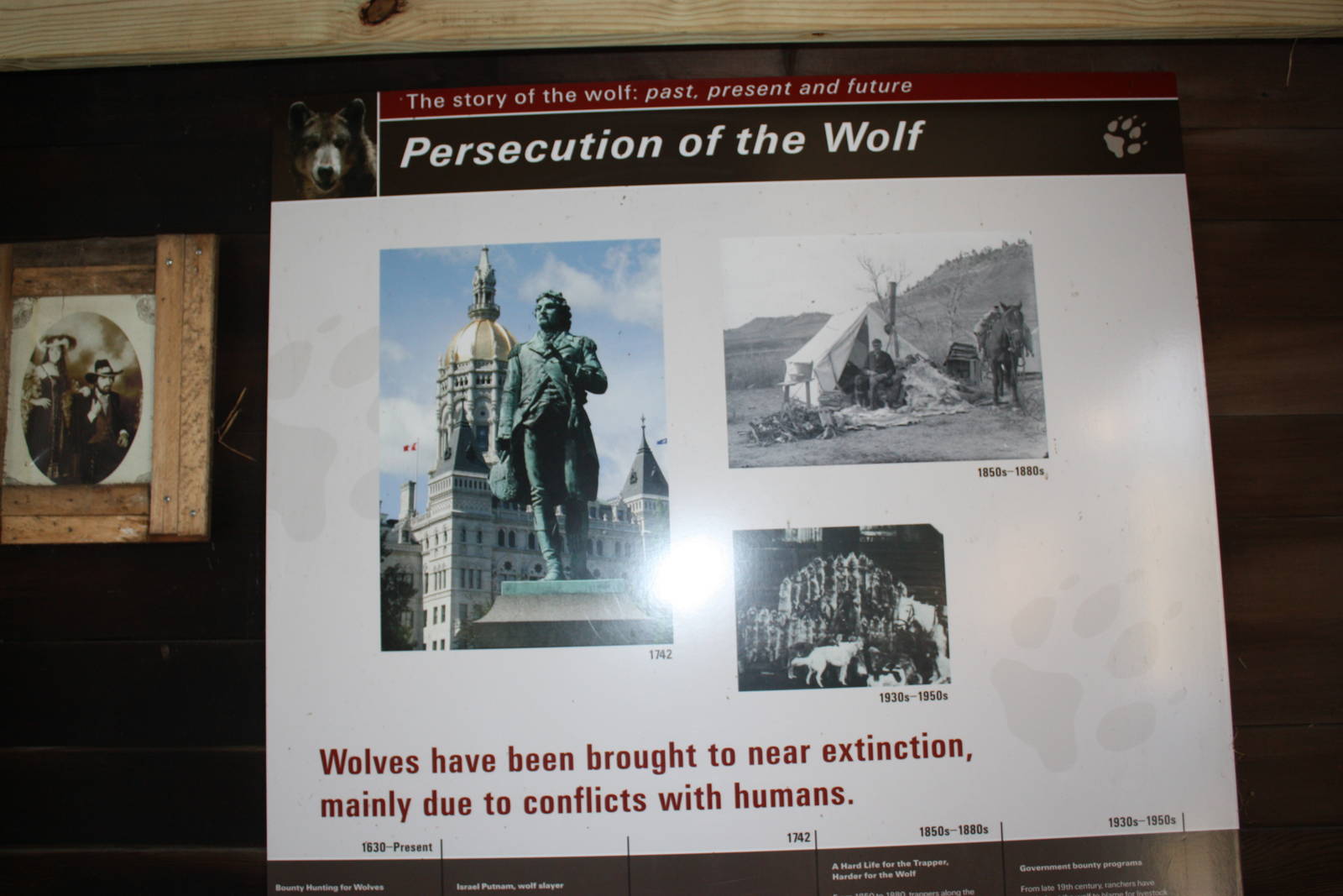 WOLF- Persecution of the Wolf