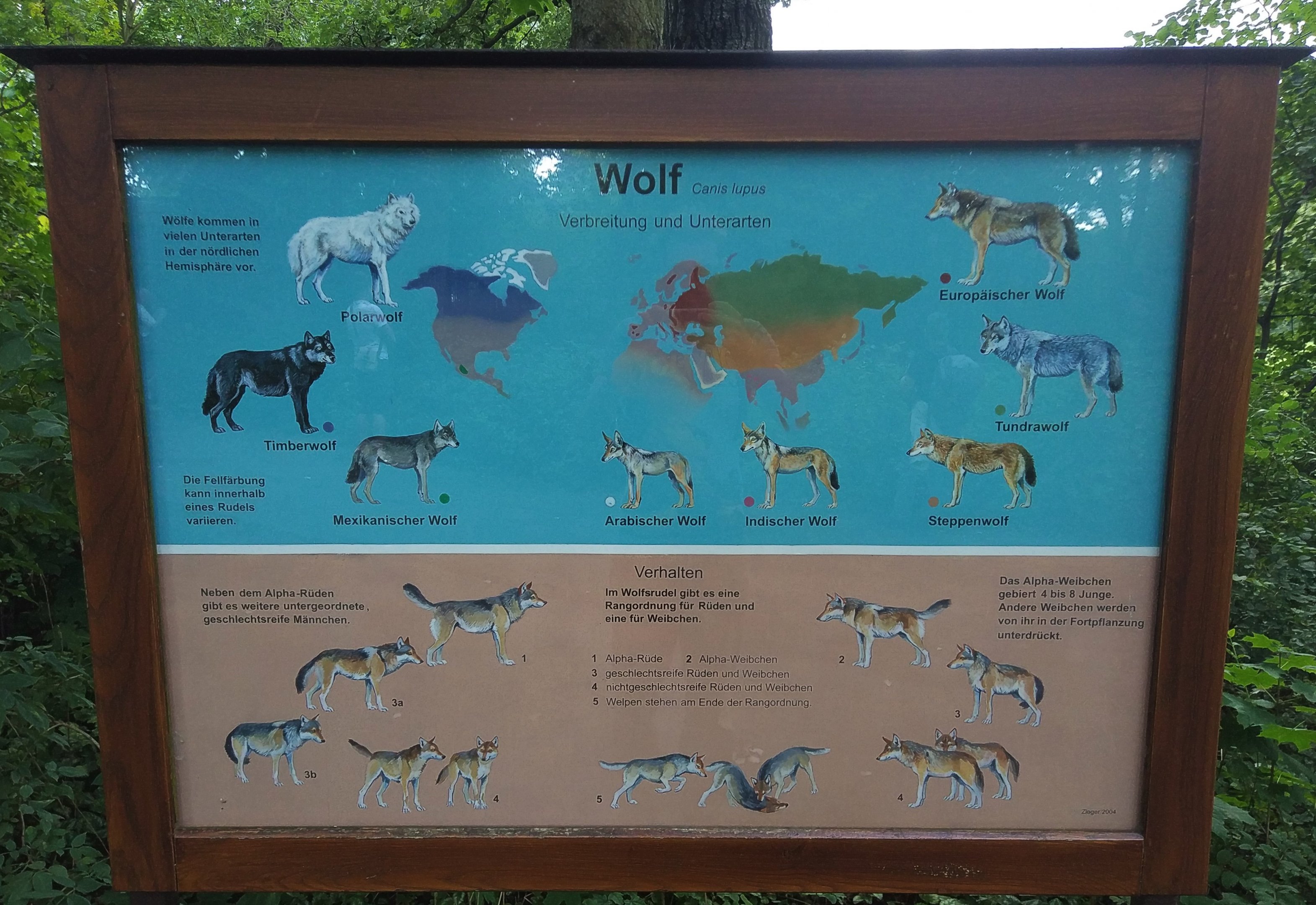 Wolf Signage