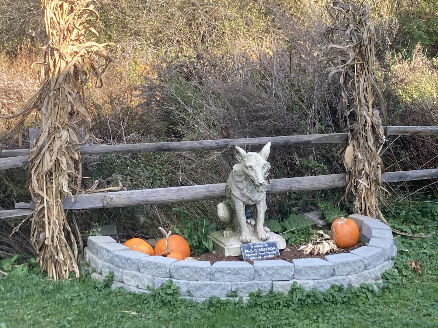 Wolf Statue Sculpture Art