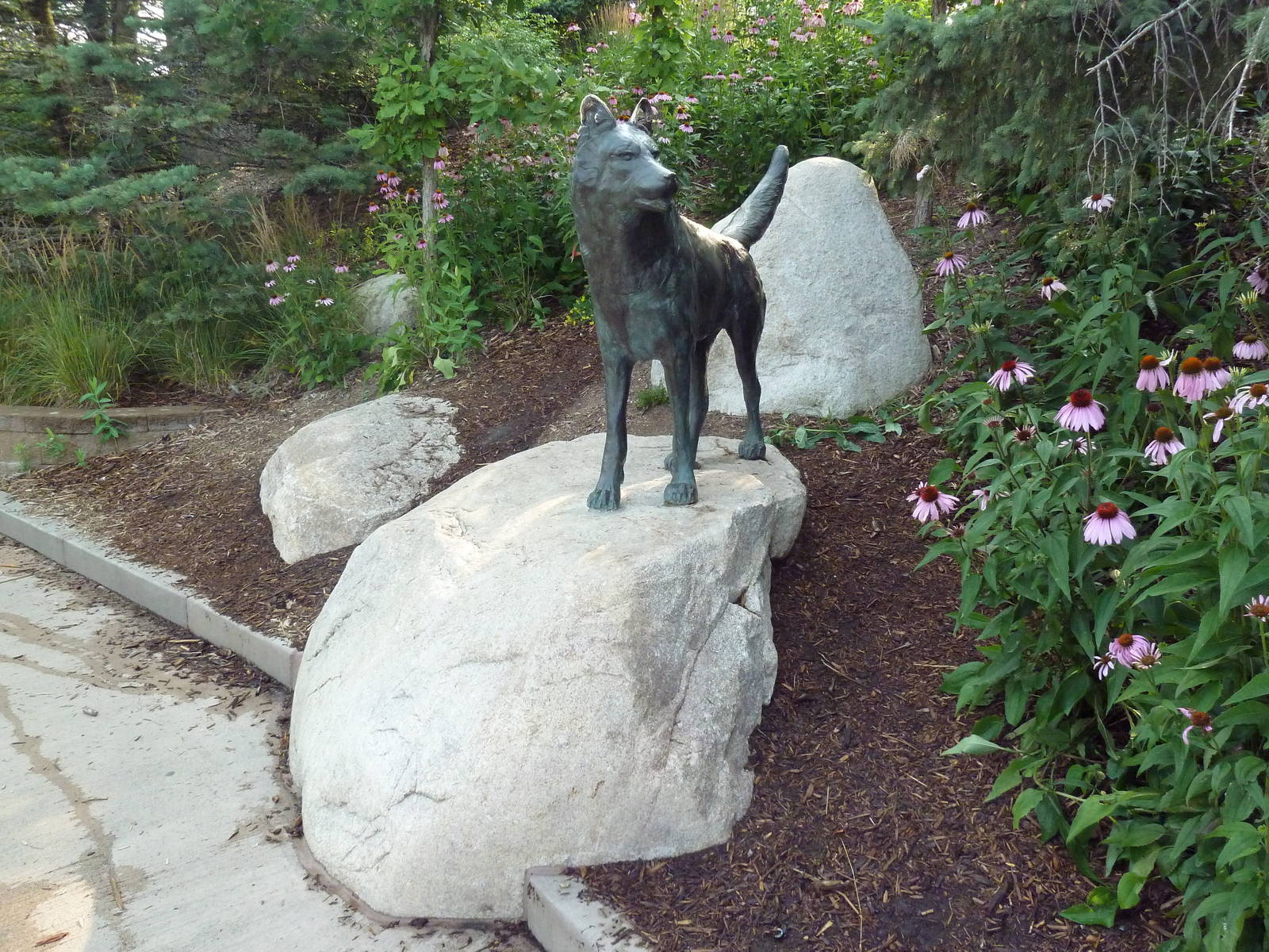 Wolf Statue