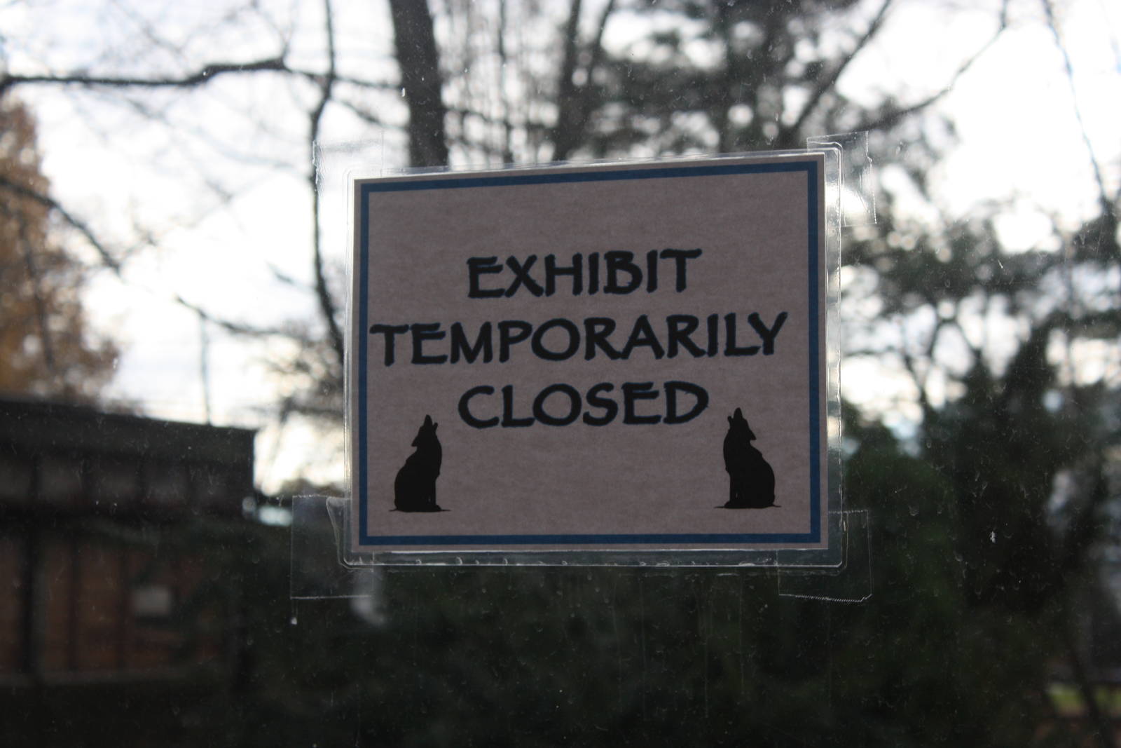 WOLF- Temporarily Closure