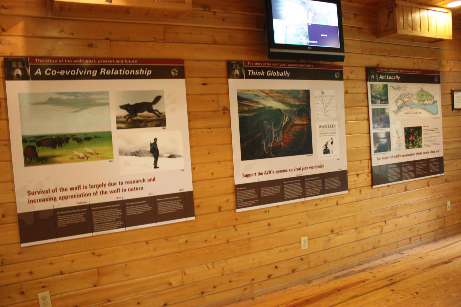 WOLF- Various Signage