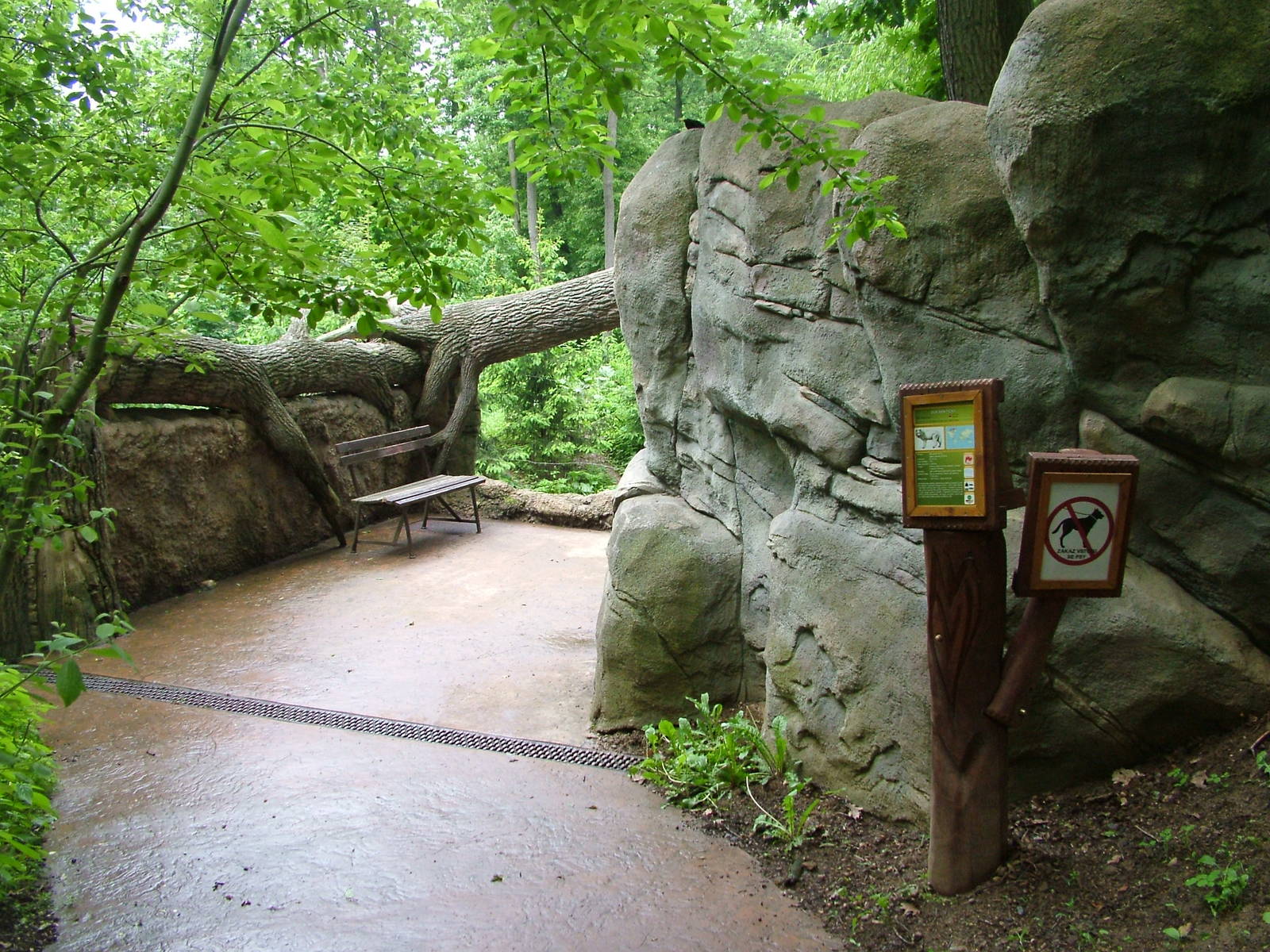 Wolf viewing area at Brno, 27/05/10