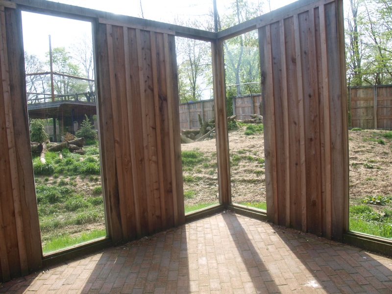 Wolf viewing windows (May 2nd, 2015)