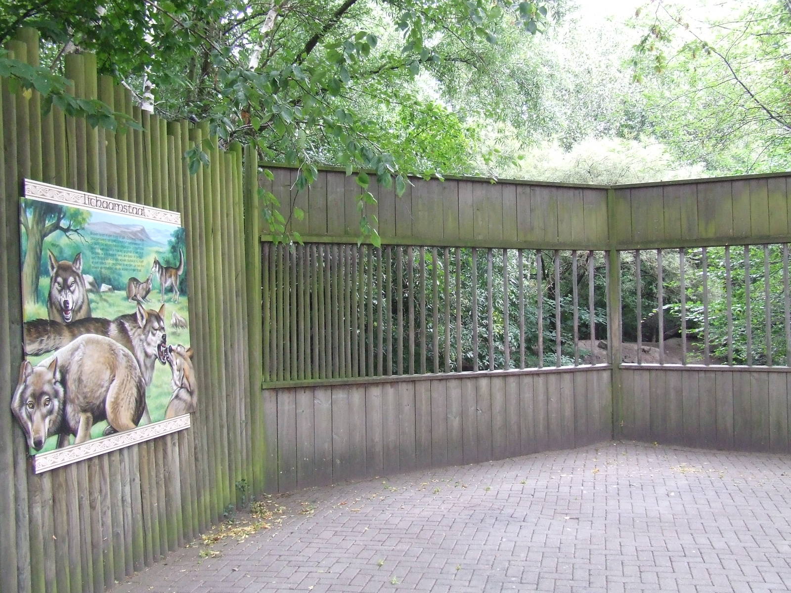 Wolf viewing, Wolf Valley