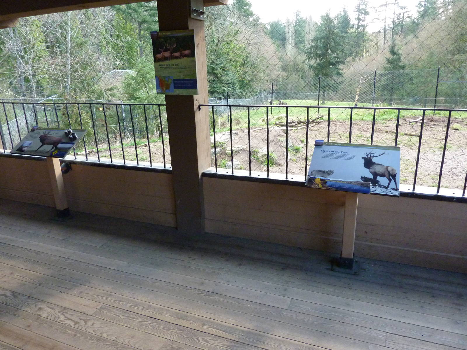 Wolf/Wapiti Enclosures - Viewing Platform