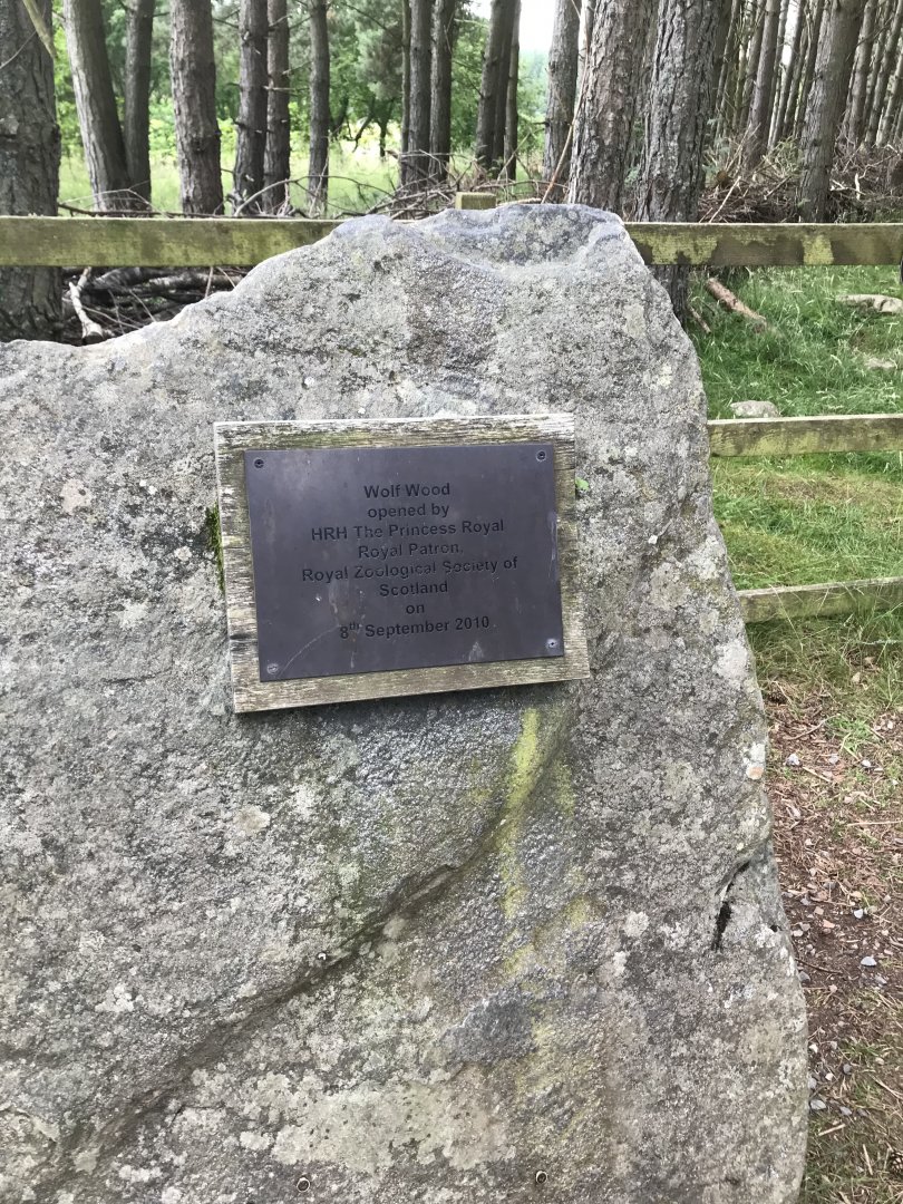 Wolf wood opening date