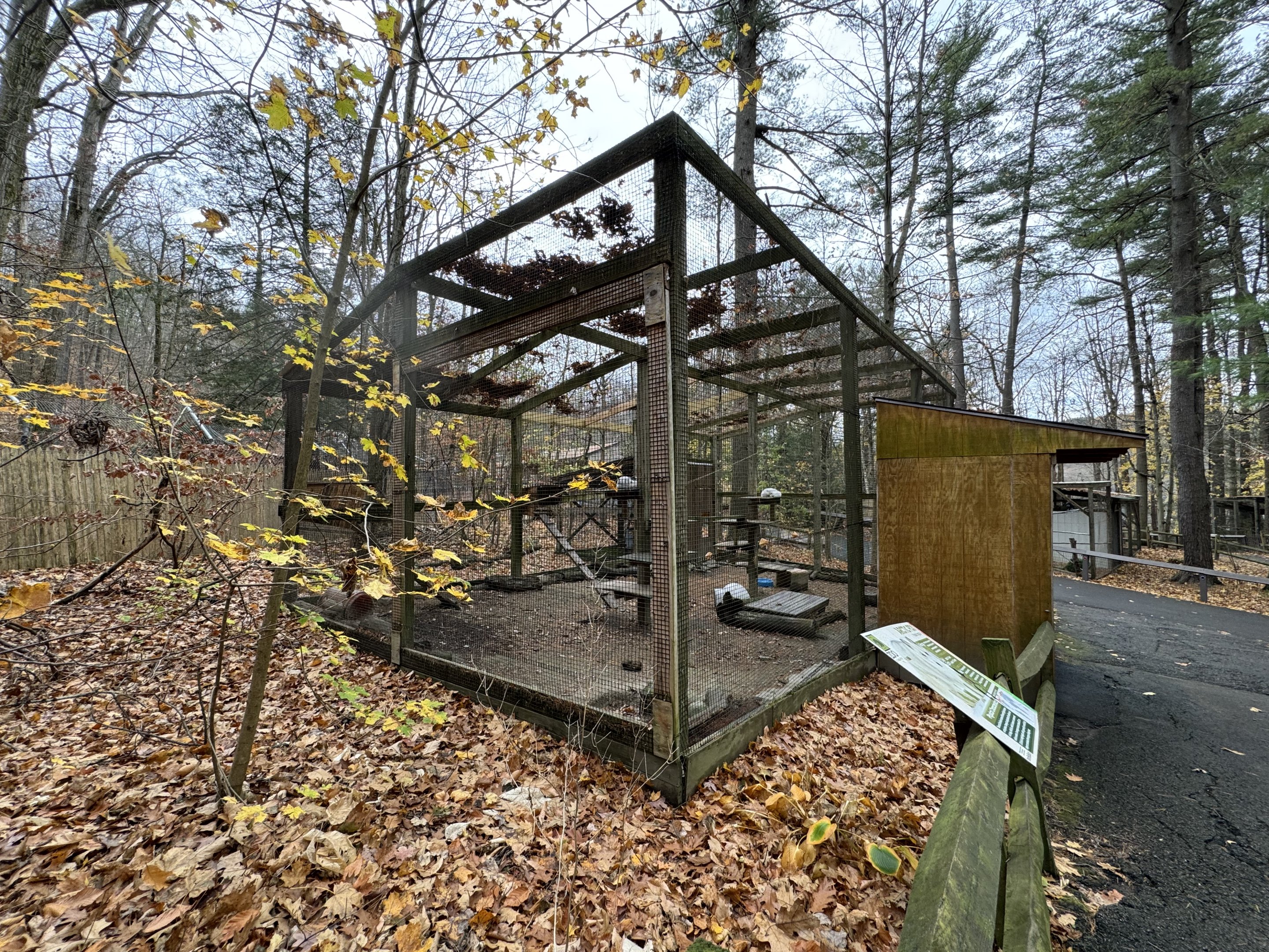 Wolf Woods - Arctic fox exhibit