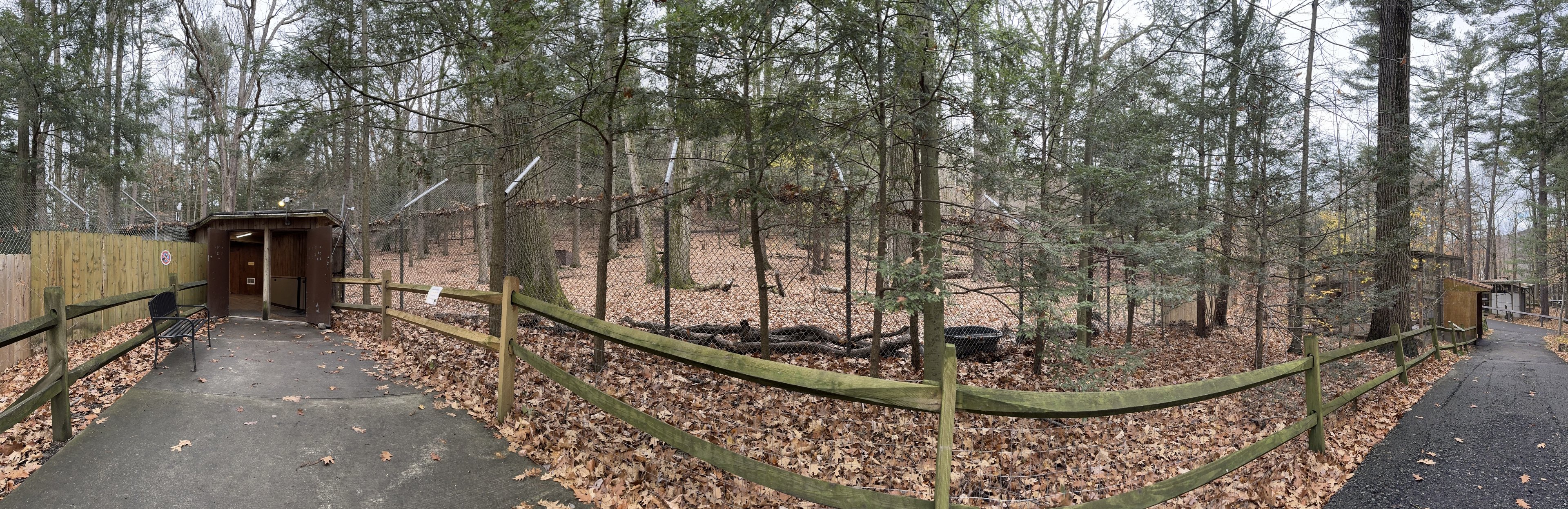 Wolf Woods - General View