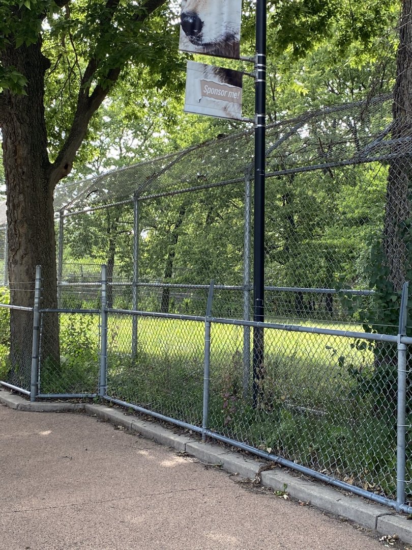 Wolf woods- gray wolf exhibit