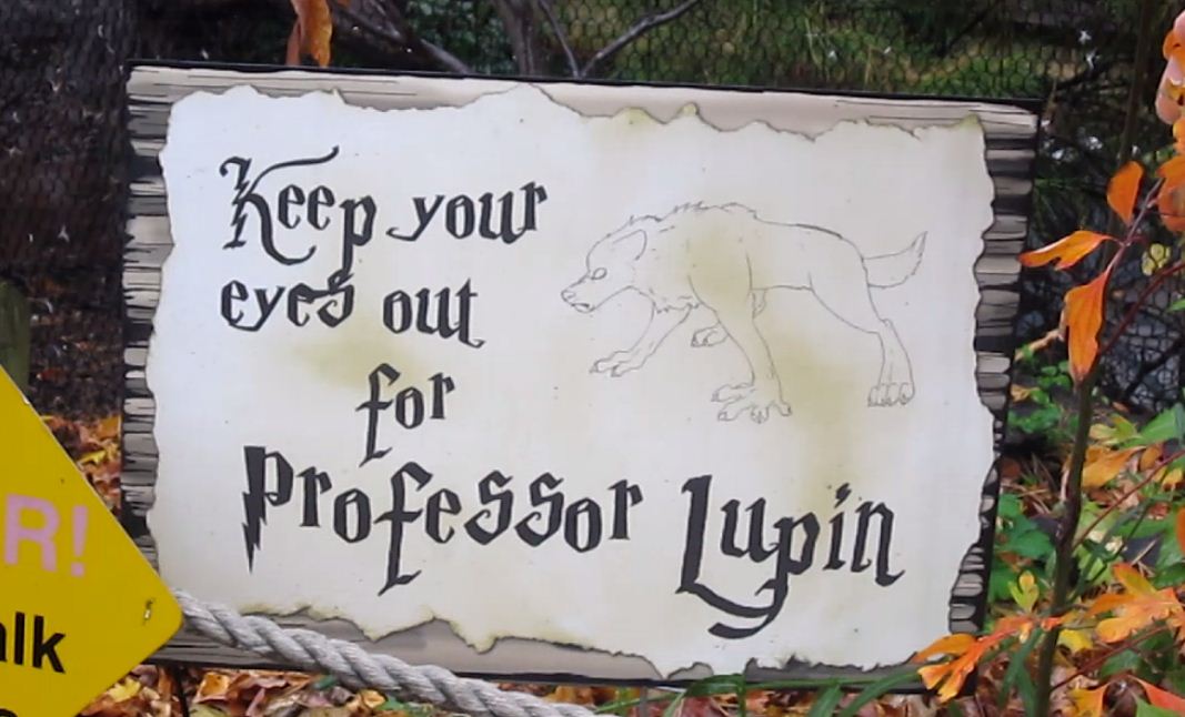 Wolf Woods-Harry Potter sign
