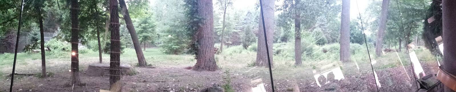 Wolf Woods - Mexican Grey Wolf Exhibit - Glass Viewing