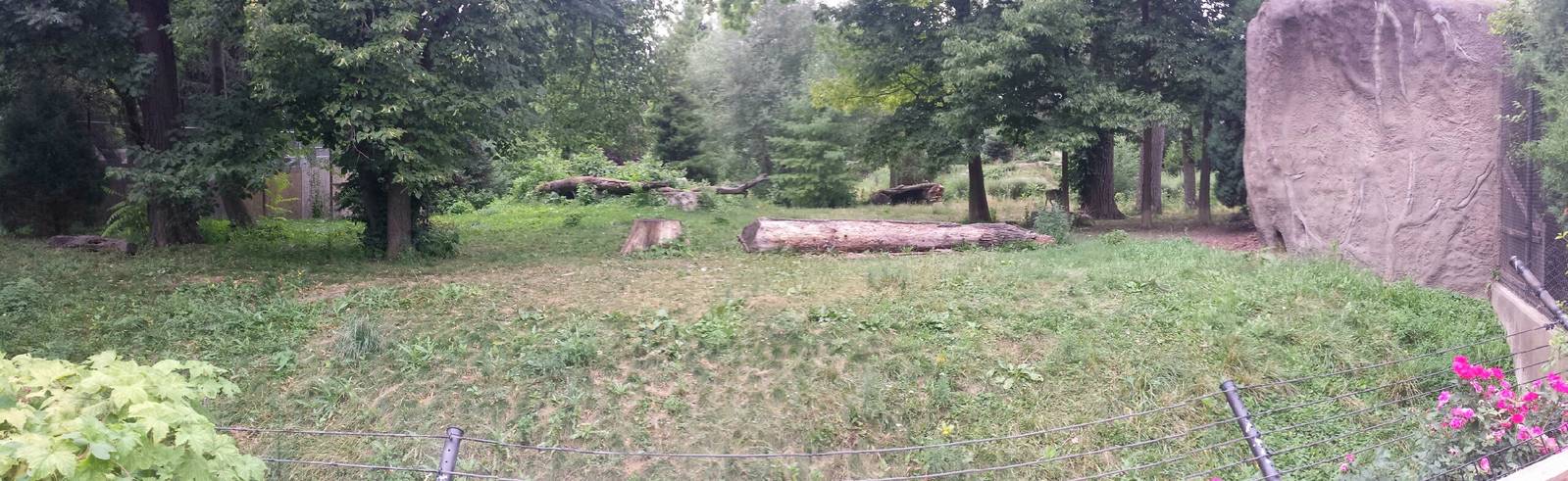 Wolf Woods - Mexican Grey Wolf Exhibit - Left Viewing