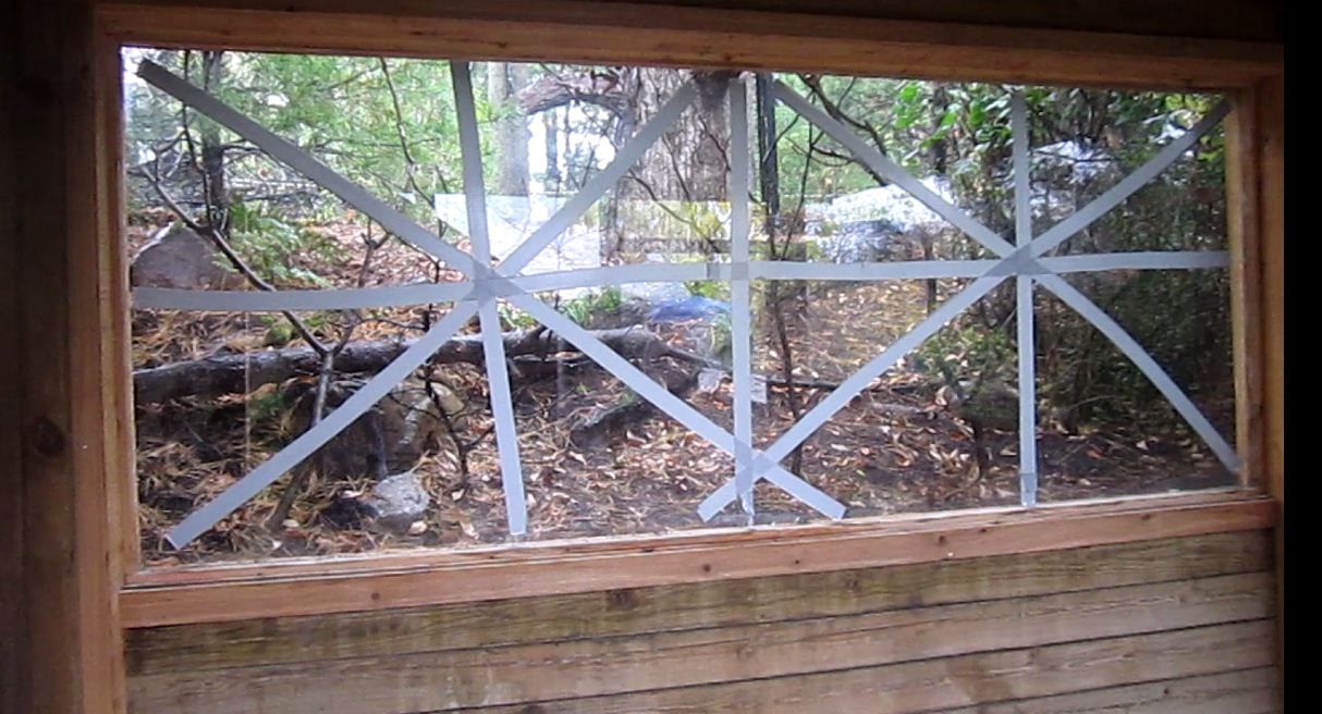 Wolf Woods-Red-tailed Hawk exhibit-Window Viewing