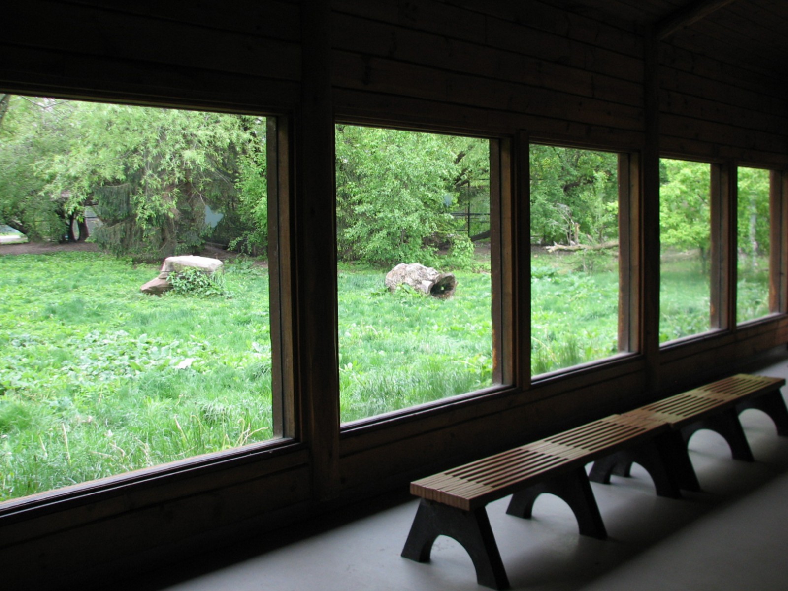 Wolf Woods - Viewing Cabin Interior