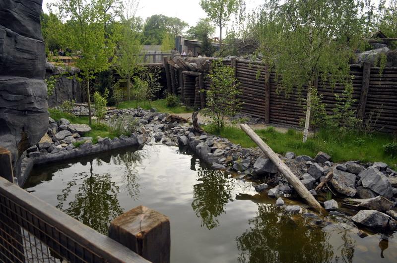 Wolfcreek at Hannovers Yukon Bay.