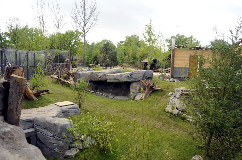 Wolfcreek at Hannovers Yukon Bay.