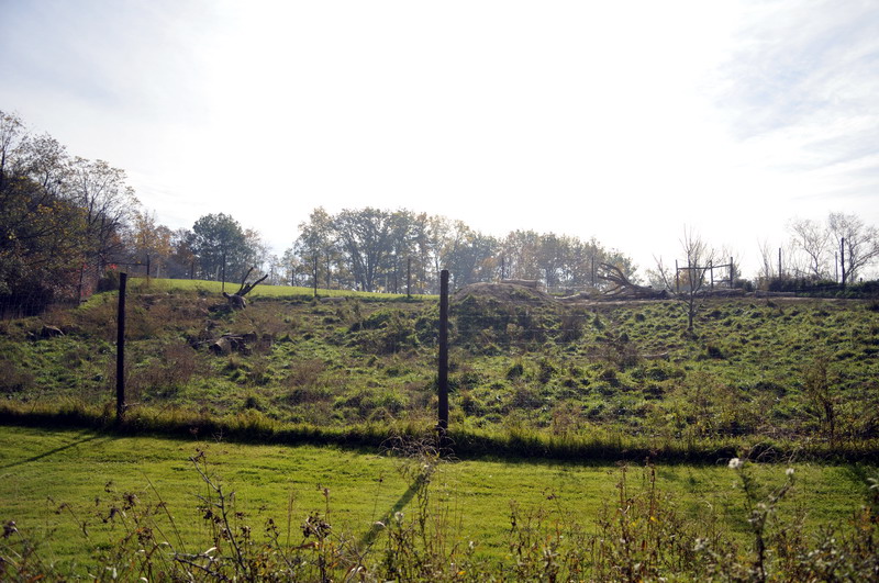 Wolfexhibit at Twin Vally Zoo