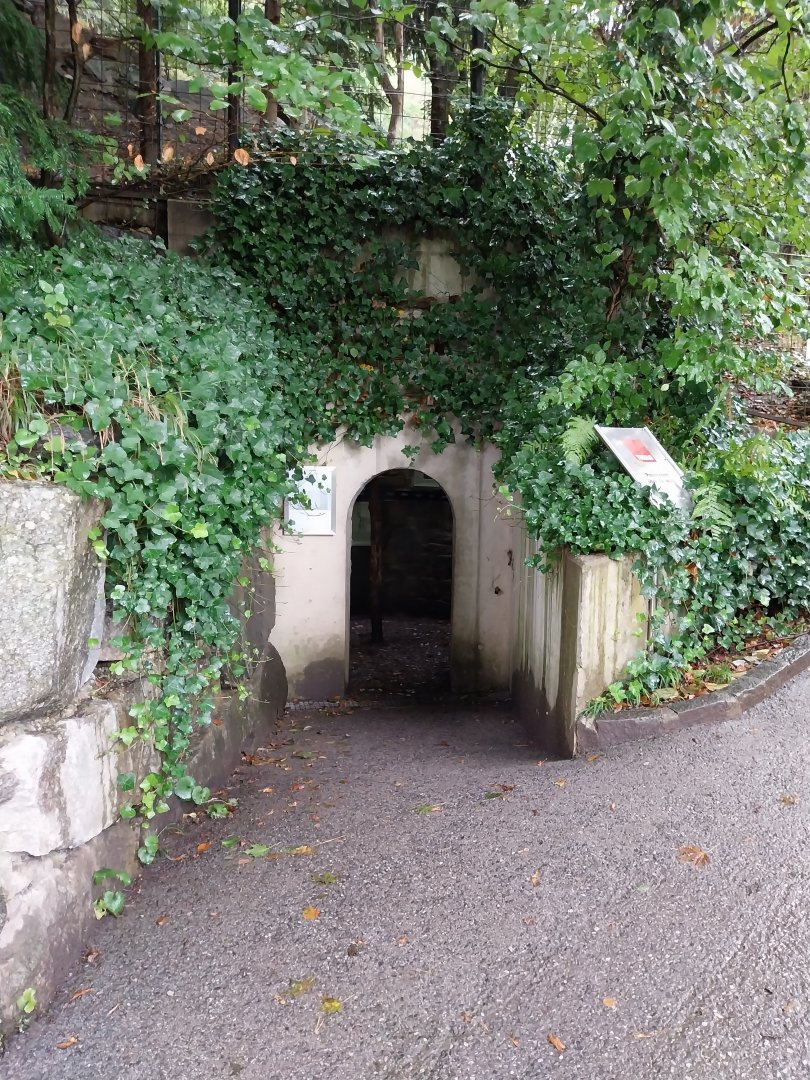 Wolf's den viewing gpoint