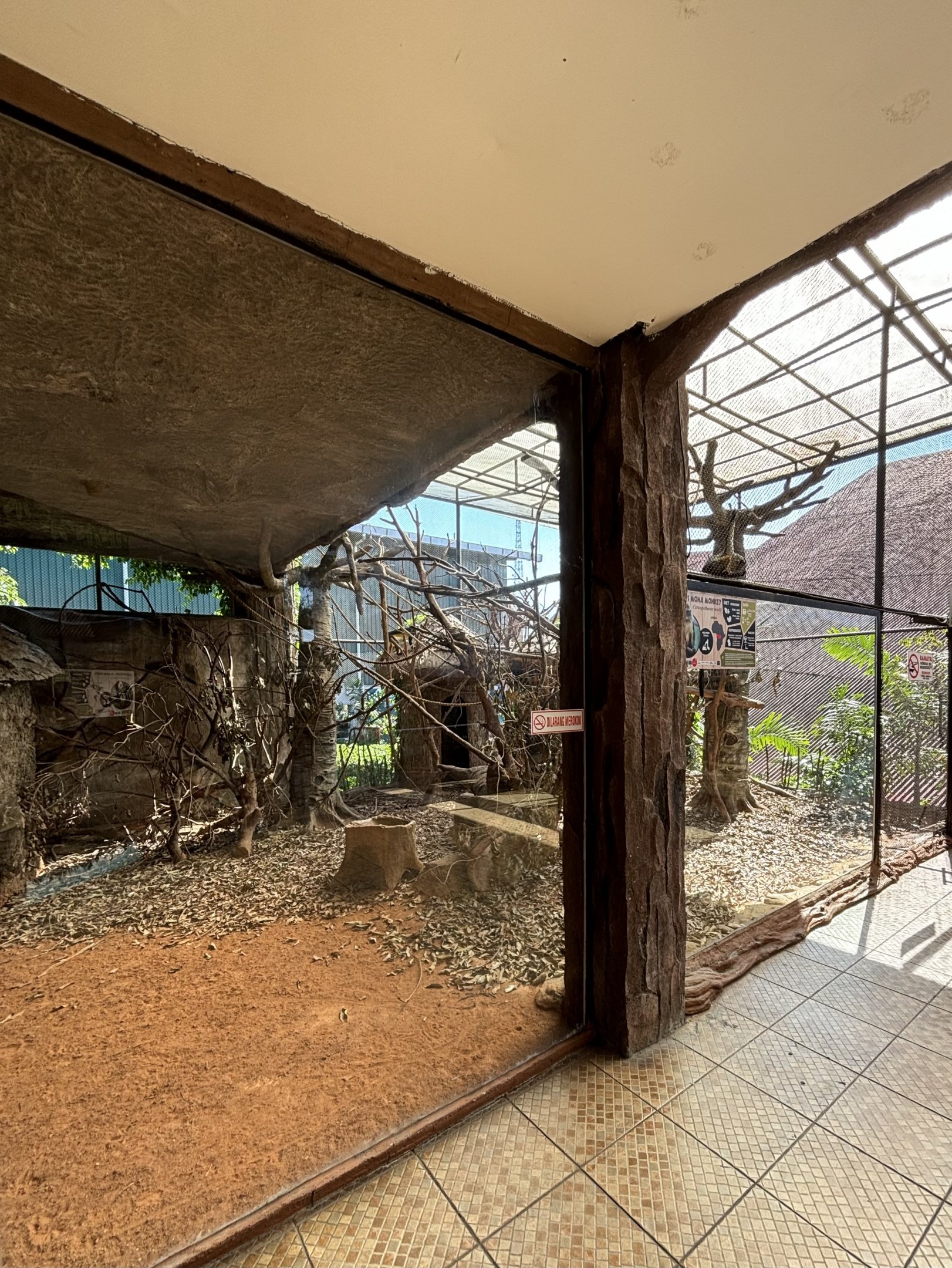 Wolf’s Mona Monkey Exhibit #2