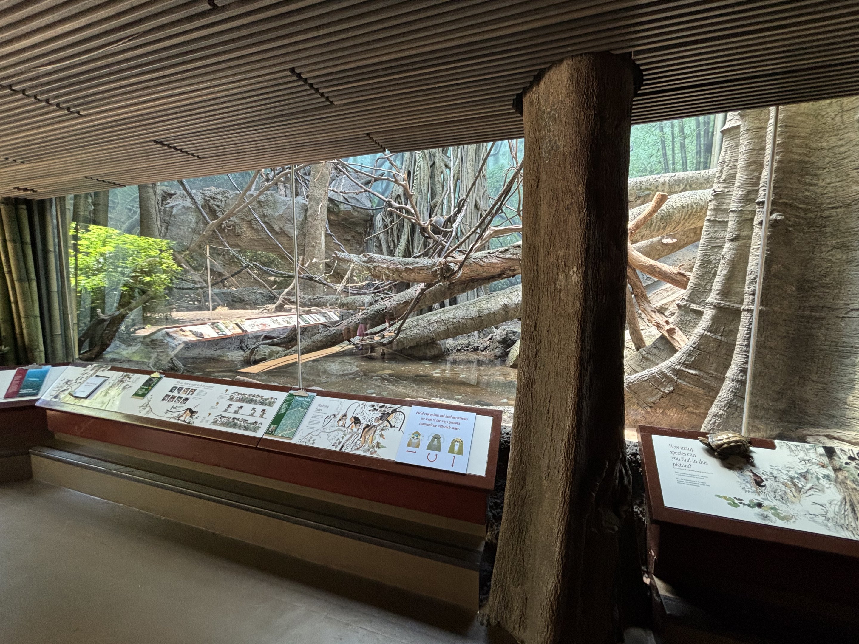 Wolf’s Monkey Exhibit