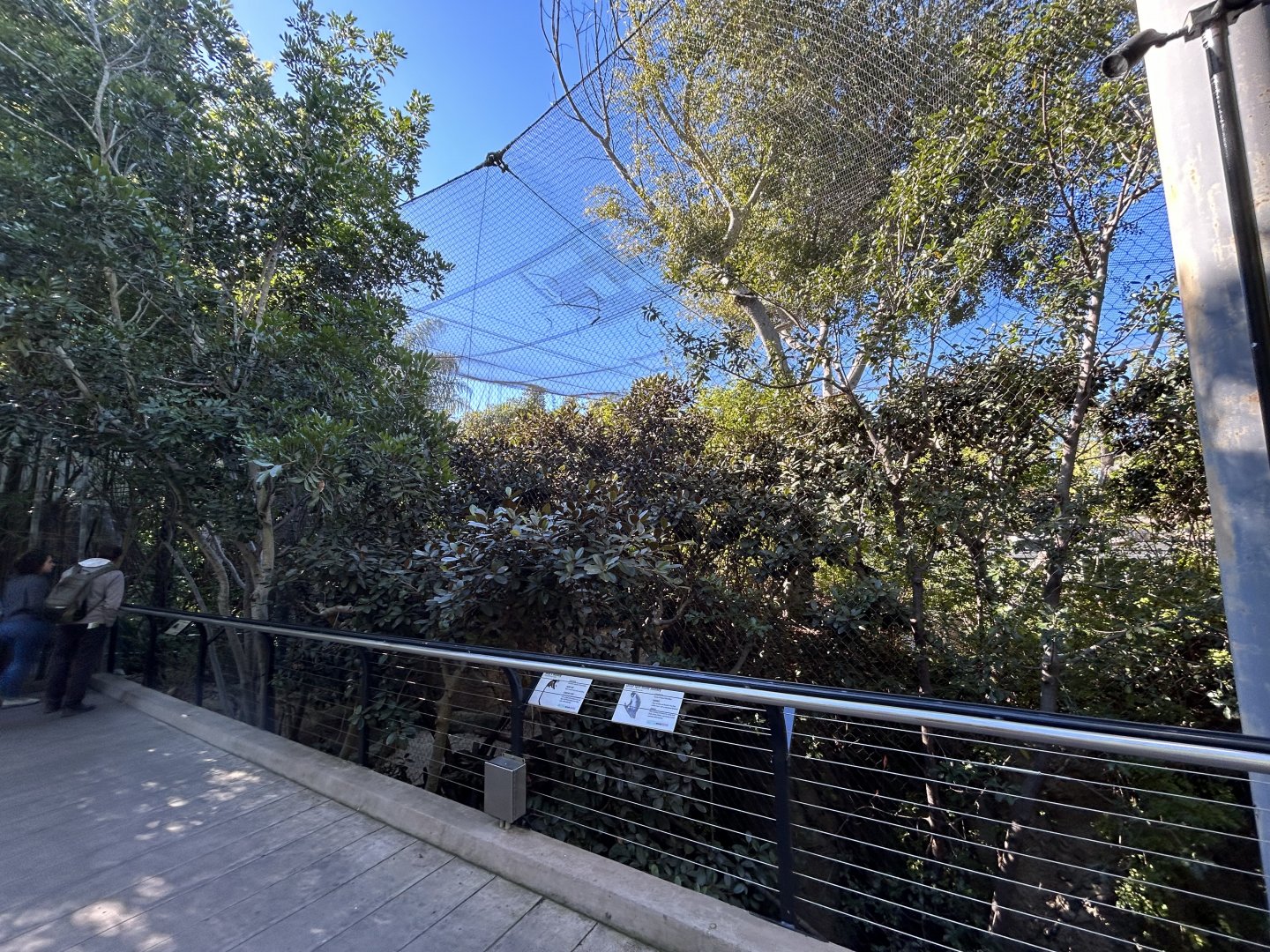 Wolf’s Monkey, Lesser Spot-nosed Monkey & Pygmy Hippo Exhibit - Monkey Trails & Forest Tales