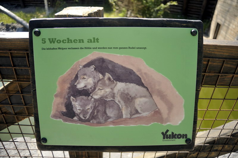 Wolfsign at Hannovers Yukon Bay.