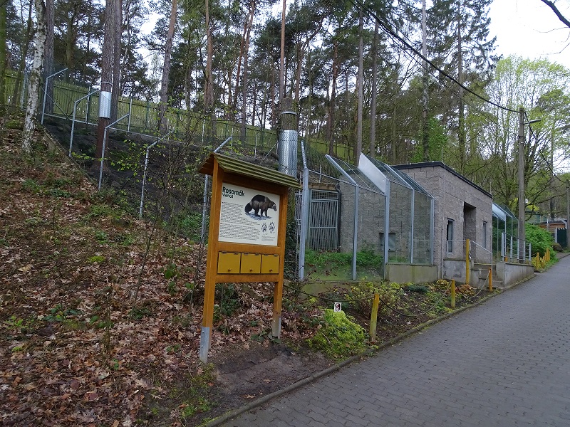 Wolverine enclosure (04/23)