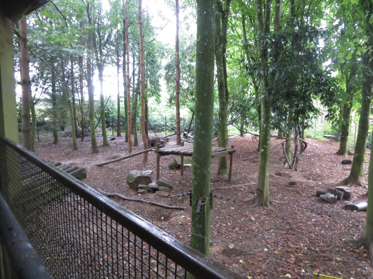 Wolverine enclosure 071019