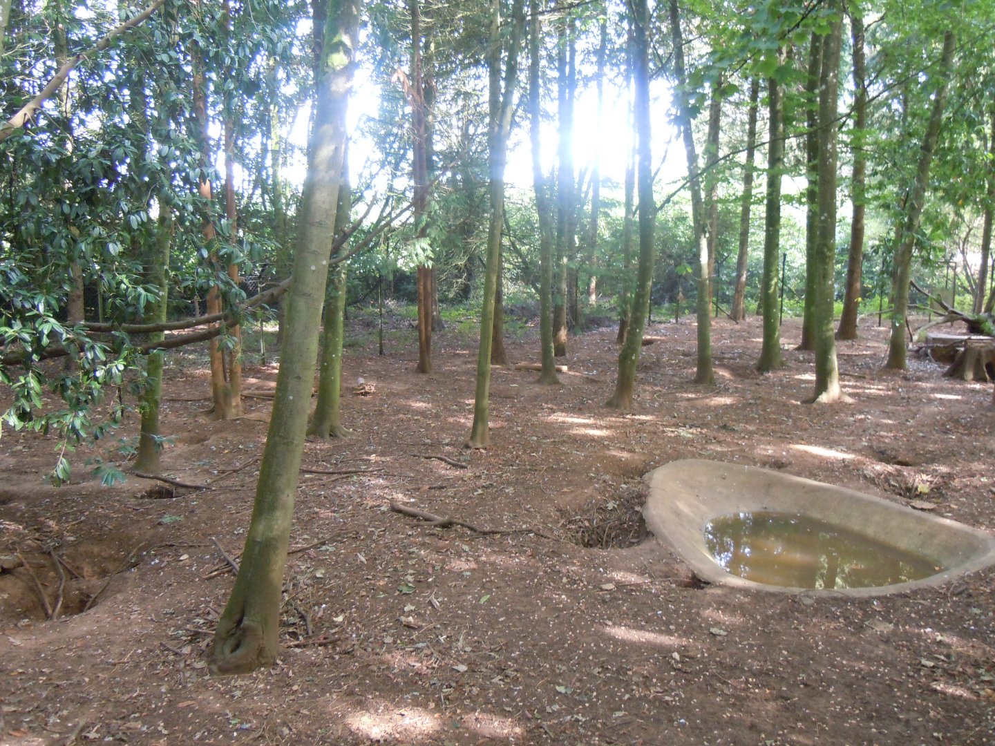 Wolverine enclosure 120920