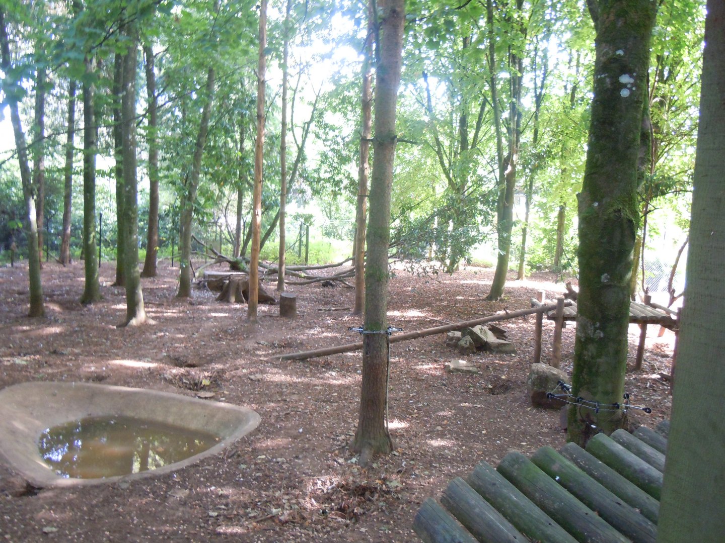 Wolverine enclosure 120920