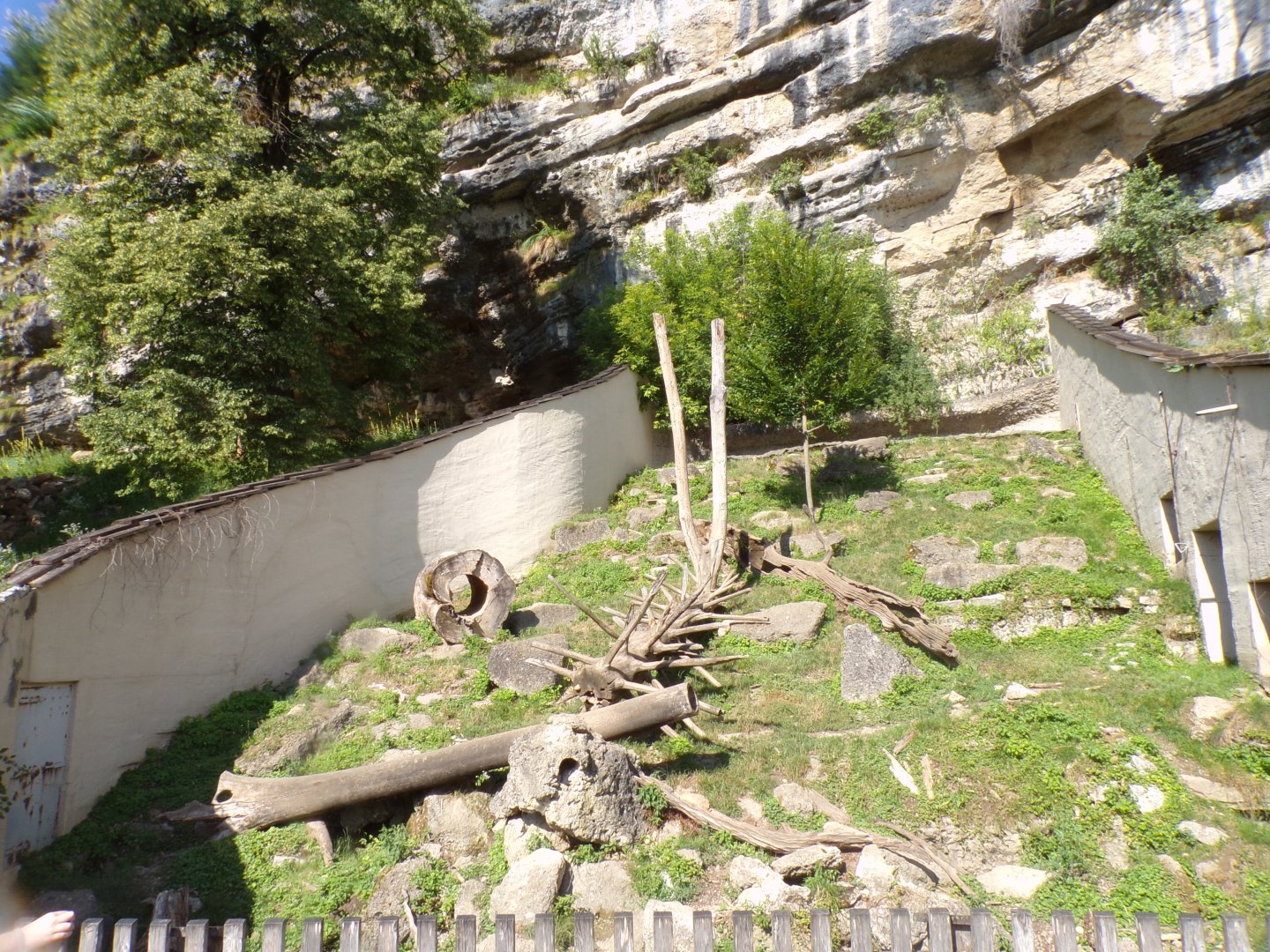 Wolverine enclosure 13.7.25