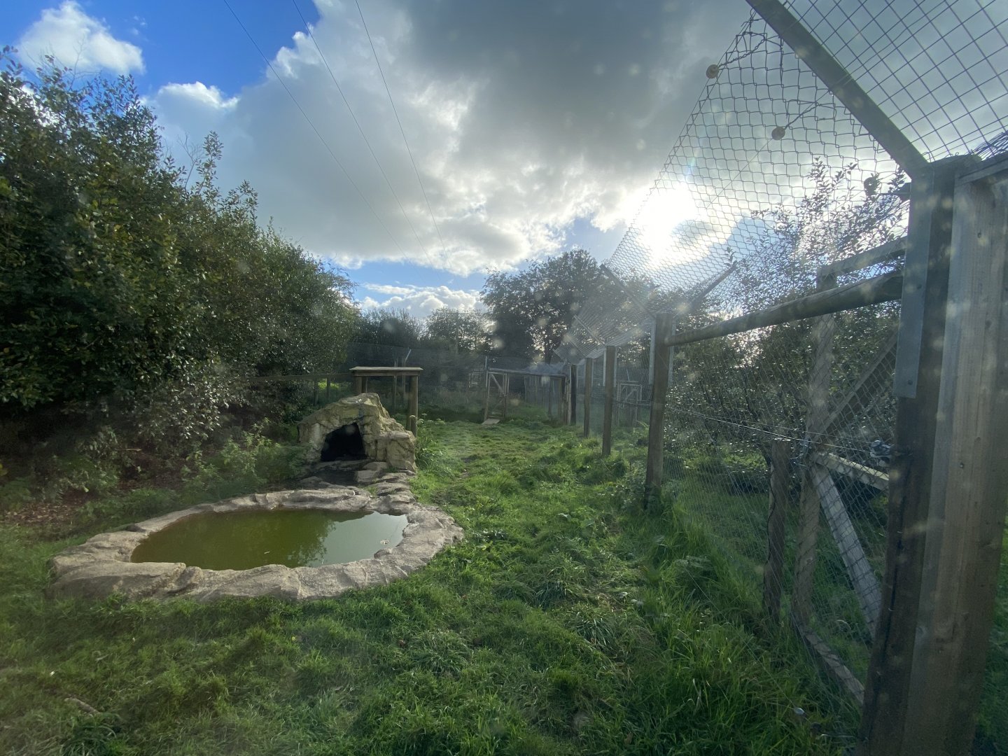 Wolverine enclosure 141023