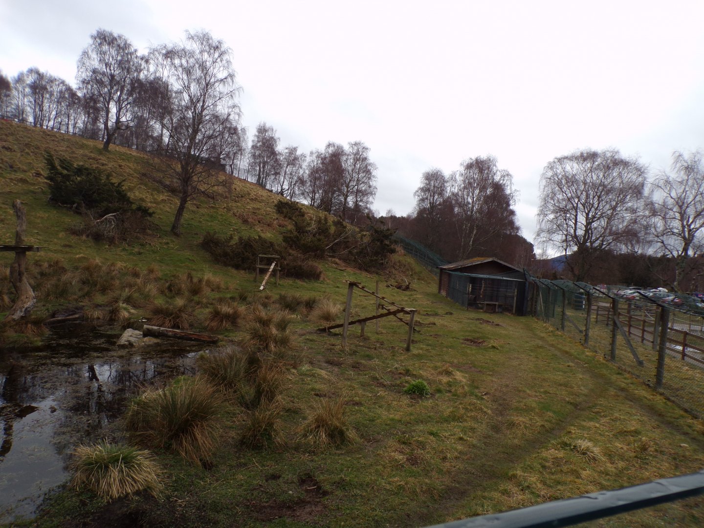 Wolverine enclosure 5.4.24