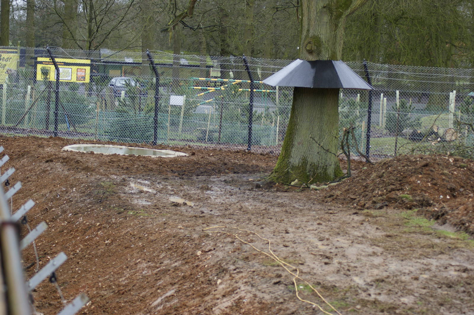 Wolverine enclosure (a work still in progress)